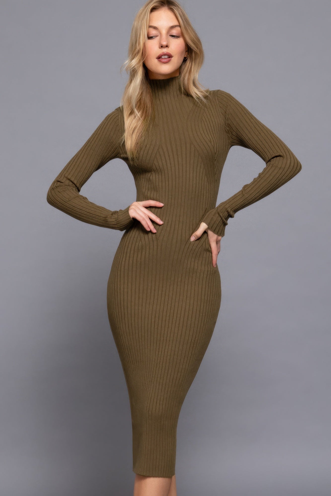 Womens Long Sleeve High Neck Sweater Long Dress Soft Stretchy Bodycon Midi Dress