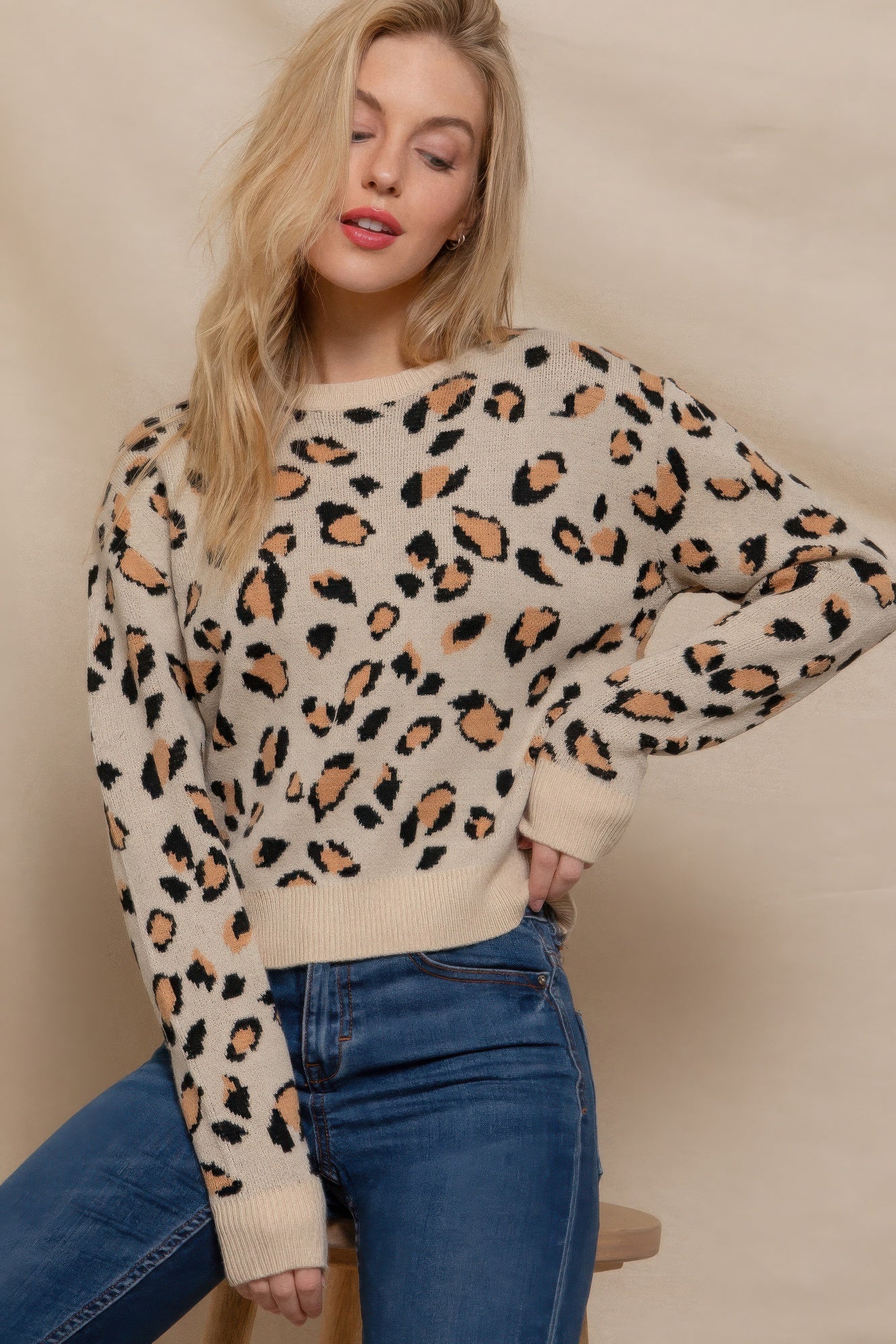 Women's Long Sleeve Crew Neck Sweater Top Animal Jacquard Printed Jumper